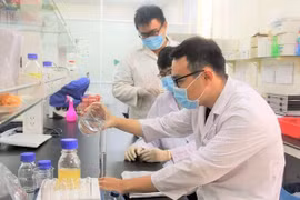 Hút chất xám vào khu vực công