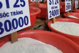 Gạo ST25 giả nhãn hiệu nở rộ, vì sao?