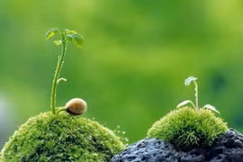 Ta còn có thể khác đi được không?