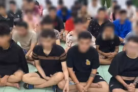 Nhiều 'ông trùm' lộ diện trong chuyên án 4 tiếp viên hàng không xách ma túy