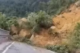 Lâm Đồng: Đang tiếp cận giải cứu 2 tài xế mắc kẹt trên đèo Khánh Lê