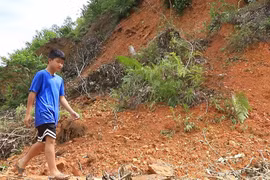 Yên Bái: Mưa lũ gây sạt lở hàng chục nghìn mét khối đất đá