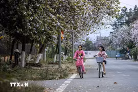 Thời tiết ngày 10/4: Bắc Bộ sáng sớm có sương mù, trưa chiểu hửng nắng