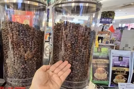 Giá cà phê hôm nay 18-5: Ở mức khó tin