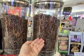 Giá cà phê hôm nay 18-5: Ở mức khó tin
