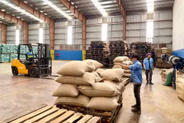 Xuất khẩu hướng đến mục tiêu 1 tỷ USD