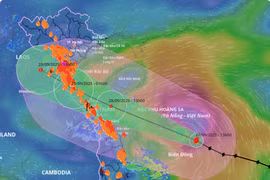Vẫn còn 65 tàu cá của tỉnh Gia Lai nằm trong vùng nguy hiểm của bão Bualoi trong 24 giờ tới