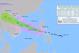 Gia Lai quyết liệt triển khai công tác ứng phó với cơn bão số 10