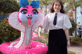 Cô giáo mầm non 'biến' vật liệu tái chế thành linh vật rắn độc đáo