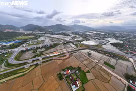 Diện mạo cao tốc Hoài Nhơn - Quy Nhơn hơn 12.400 tỷ đồng trước ngày về đích