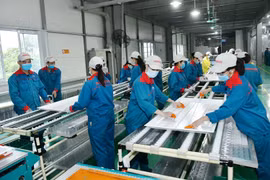 Doanh nghiệp với đất nước