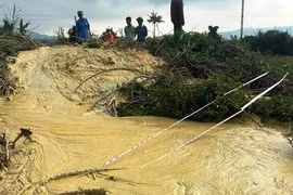 Hiện tượng lạ ở Phú Yên: Nứt đất, bùn trào lên