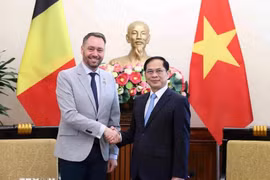 Việt Nam luôn coi trọng quan hệ hữu nghị và hợp tác nhiều mặt với Bỉ