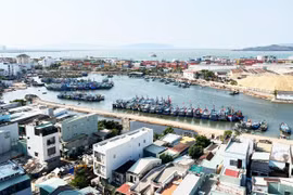 Thủ tướng Chính phủ quyết định thành lập Hội đồng Tư vấn chính sách