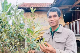 Bảo tồn những bài thuốc quý của người Bahnar