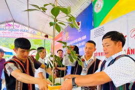 Vốn quý tri thức dân gian