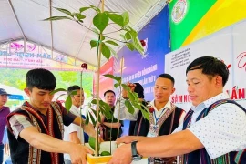 Vốn quý tri thức dân gian