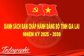Danh sách Ban Chấp hành Đảng bộ tỉnh Gia Lai nhiệm kỳ 2025 - 2030