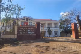 Có hay không kiểm lâm cắt hạ 600 cây rừng phòng hộ biên giới Đắk Nông?