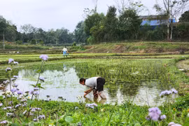 Khoảng trời quê