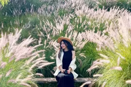 Quán cafe view đẹp, giá siêu mềm, gần trung tâm Đà Lạt