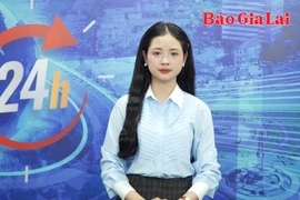 Gia Lai 24h: Ngộ độc nguy kịch vì ăn nấm mọc trên xác ve sầu