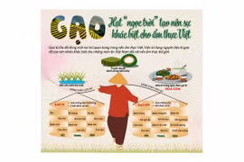 Đi tìm sự khác biệt tạo nên bản sắc riêng cho ẩm thực Việt Nam