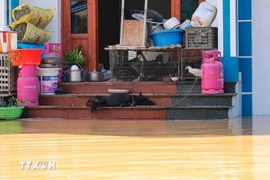 Thời tiết đêm 9 và ngày 10/10: Lũ trên sông Cầu ở Bắc Ninh tiếp tục lên