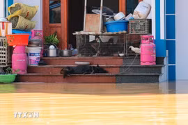 Thời tiết đêm 9 và ngày 10/10: Lũ trên sông Cầu ở Bắc Ninh tiếp tục lên