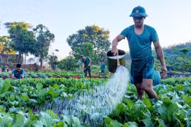 Lực lượng vũ trang tỉnh: “Thực túc, binh cường”