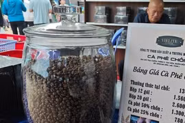 Giá cà phê hôm nay 16-3: Bất ngờ về loại cà phê 10 triệu đồng/kg
