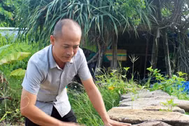 Người giúp đá ngân nga