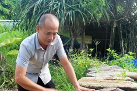 Người giúp đá ngân nga