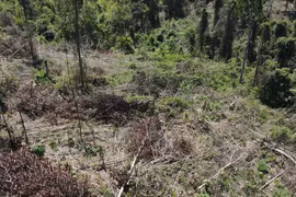 Vụ phá rừng ở Kon Tum: Đủ căn cứ khởi tố vụ án, yêu cầu tháo dỡ nhà trái phép