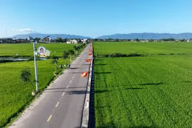 Đưa Tuy Phước Bắc trở thành xã phát triển khá