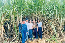 Những tỷ phú mía ở Pờ Tó