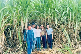 Những tỷ phú mía ở Pờ Tó