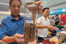 Giá cà phê hôm nay 27-4: Cà phê 'bờ rào' bất ngờ vượt mặt Arabica!kinh