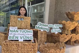 Đánh thức tài nguyên bản địa