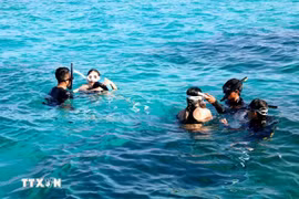 Bình Thuận: Nhiều trải nghiệm du lịch mới lạ tại đảo Phú Quý