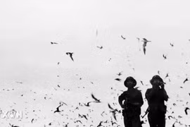 50 năm thống nhất đất nước-Ngày 29/4/1975: Giải phóng quần đảo Trường Sa