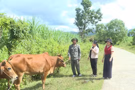 Tín dụng chính sách góp phần đẩy lùi “tín dụng đen”