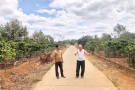 Ia Grai ưu tiên nguồn lực xây dựng nông thôn mới