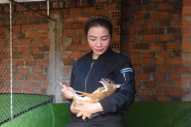 “Ngược lối” với mô hình nuôi cheo cheo