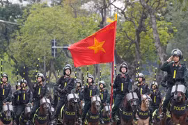 Xem cảnh khuyển, kỵ binh biểu diễn và tấn công tội phạm