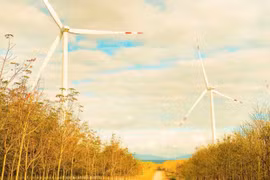 Phát triển năng lượng tái tạo: “Mở đường” cho những dự án lớn