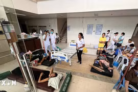 Động đất ở Philippines: 72 người đã thiệt mạng, 294 người khác bị thương