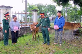 Trao sinh kế, giúp dân ổn định cuộc sống