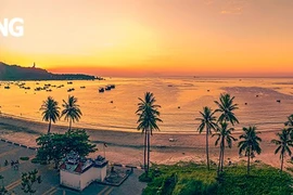 Trọn tình yêu với biển
