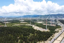 Tín chỉ carbon - “Đòn bẩy” phát triển kinh tế xanh